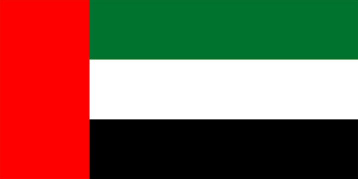 Dubai flag